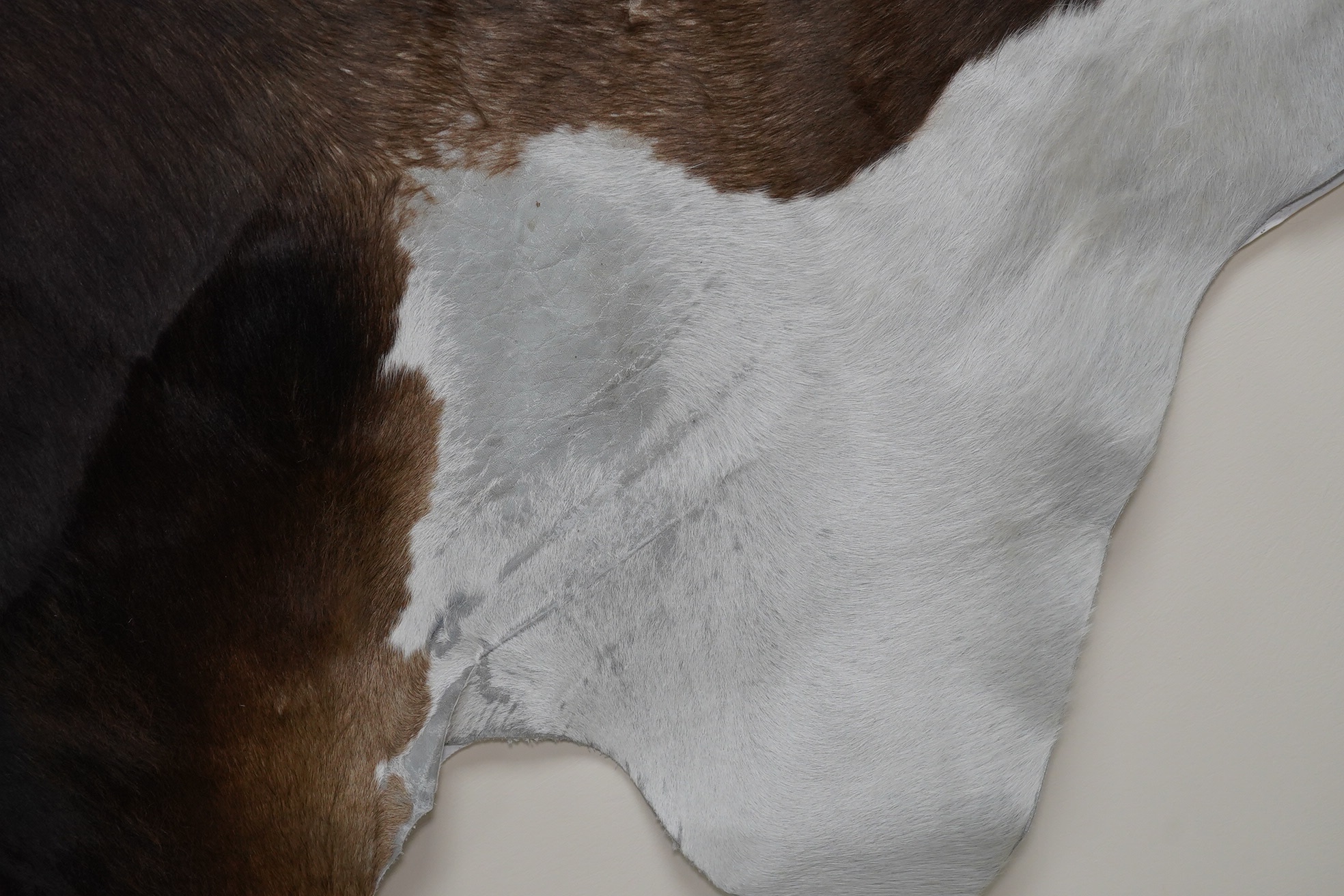 A brown and cream cowhide rug. Condition - fair, as per images